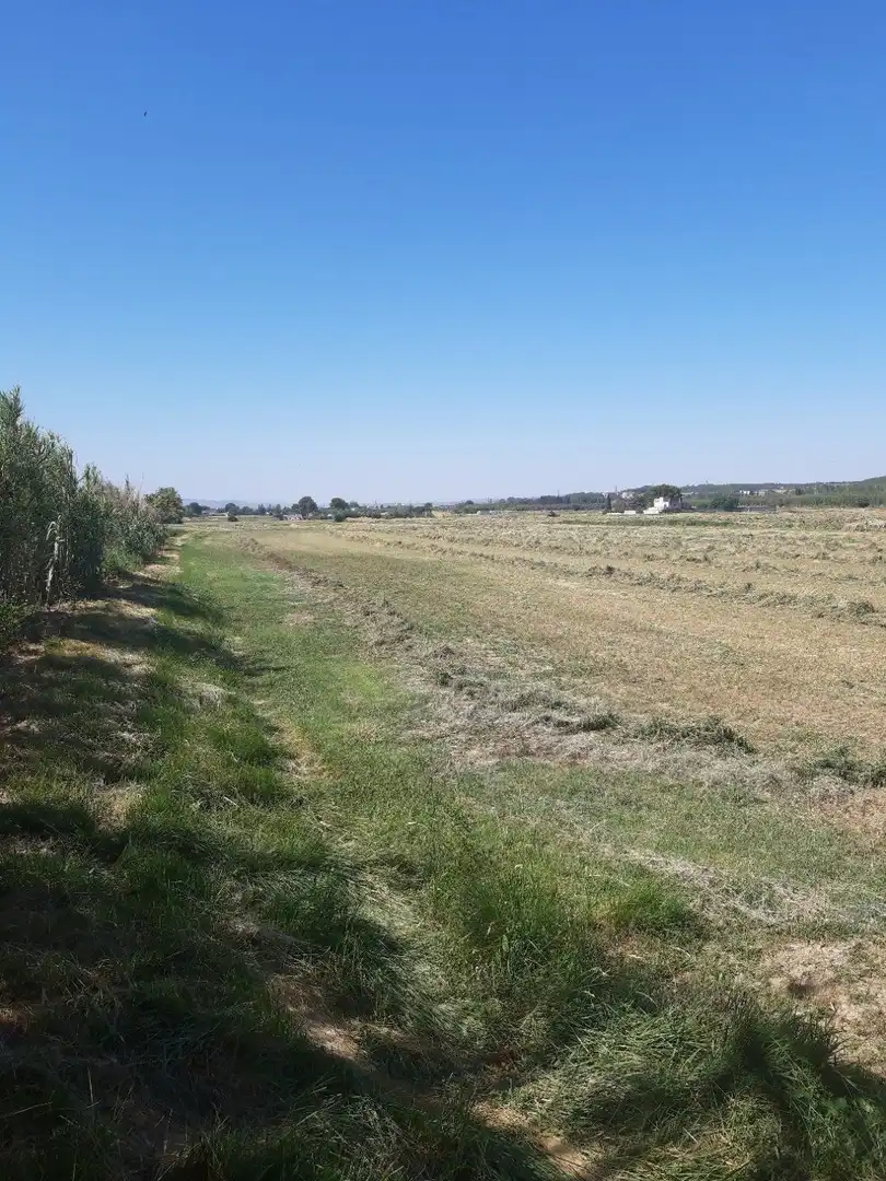 Grundstücke zum Verkauf in Zaragoza