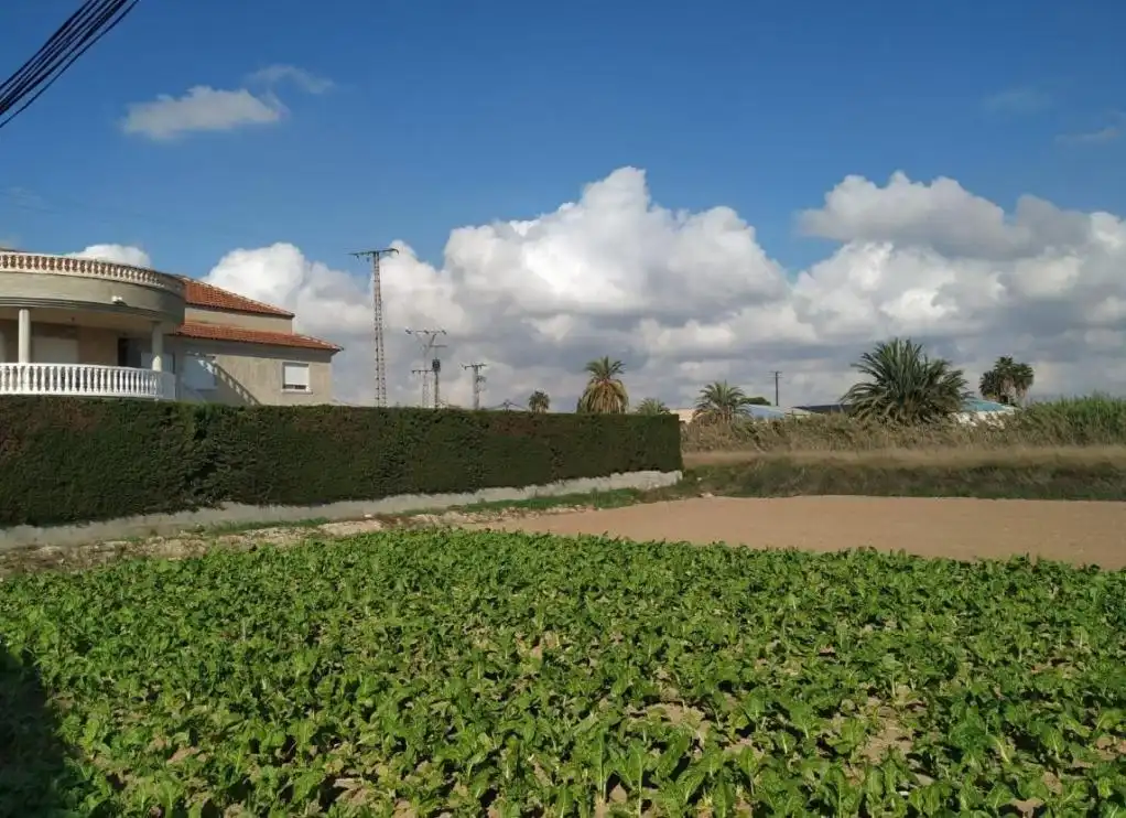 Terrenys i solars en venda a Plan P Puente Tocinos II zm-pt2, imagen 6