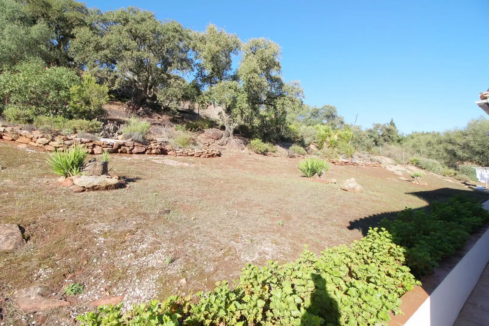 Jardín de Casa o chalet en venta en Almogía con Aire acondicionado, Calefacción y Jardín privado
