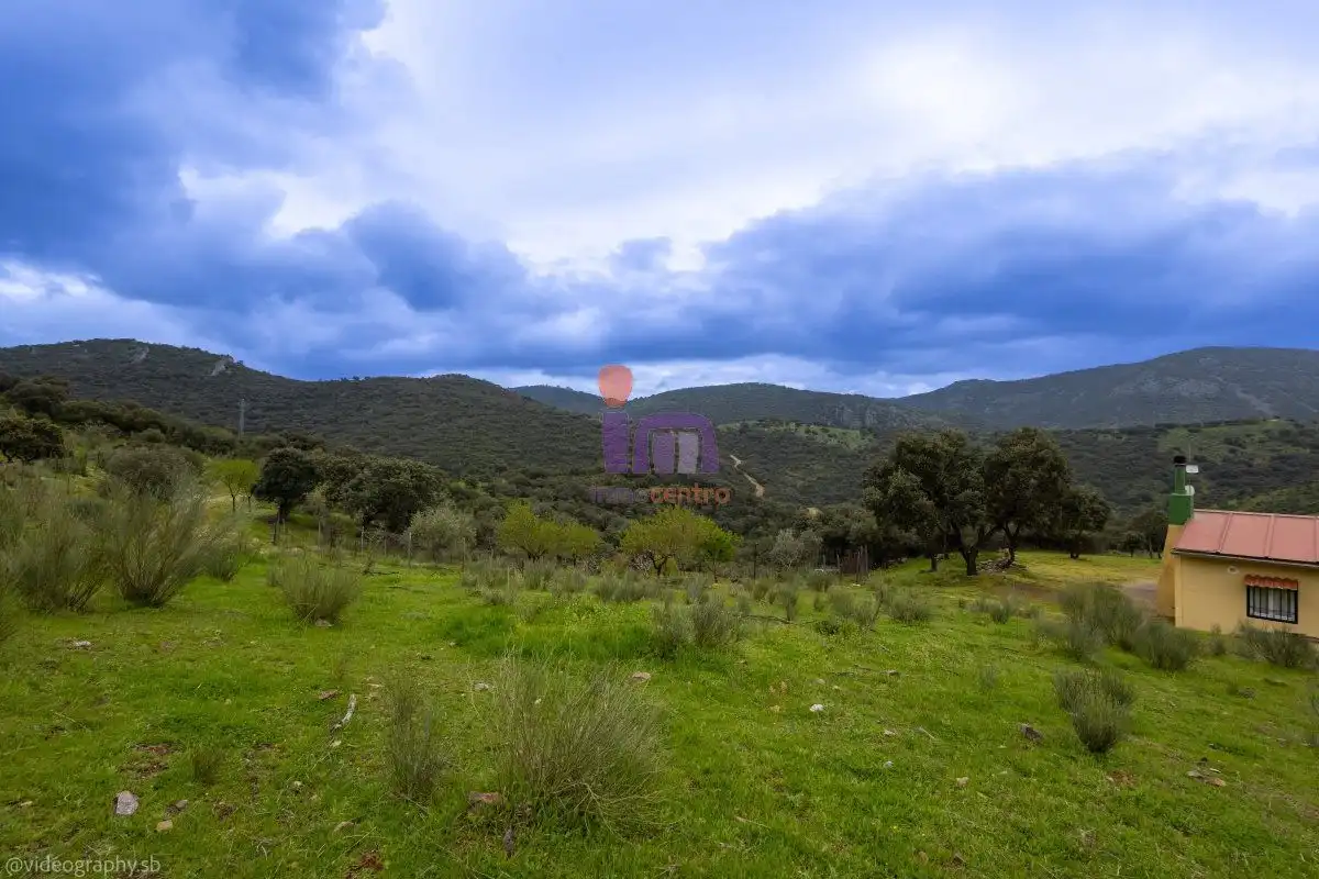 Finca rústica en venta en San Lorenzo de Calatrava