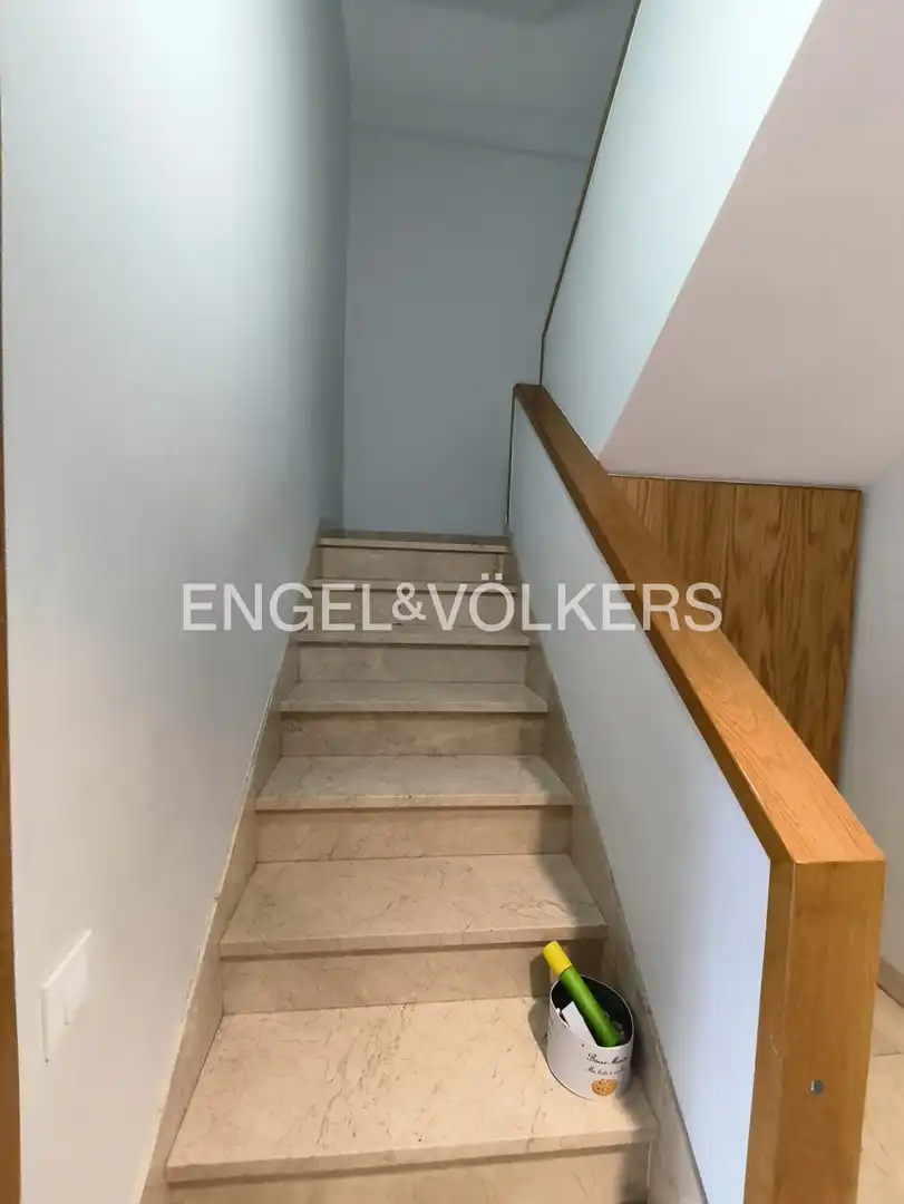 Houses for rent in Palomas