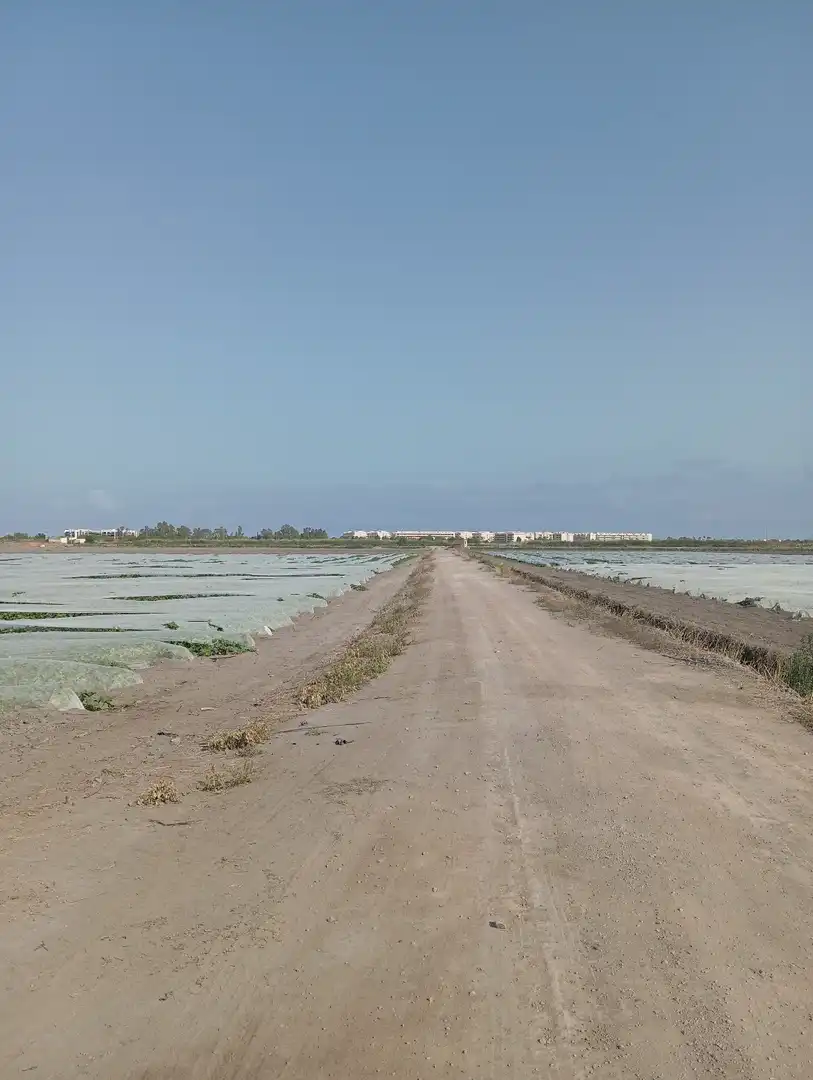 Rural land for sale in N/A, imagen 19