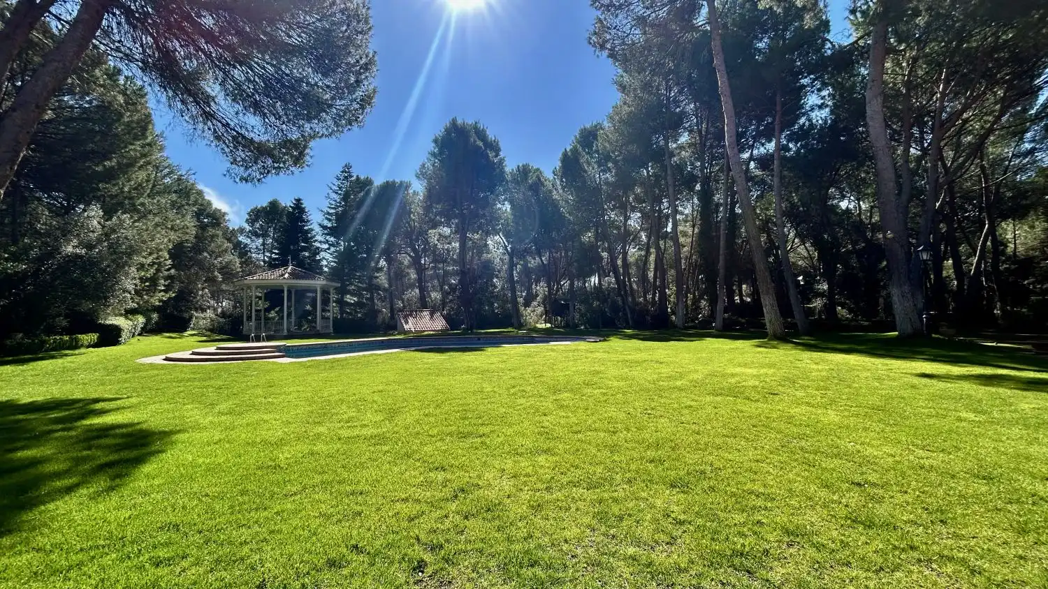 Jardí de Casa o xalet en venda en Albacete amb Aire condicionat, Calefacció i Terrassa