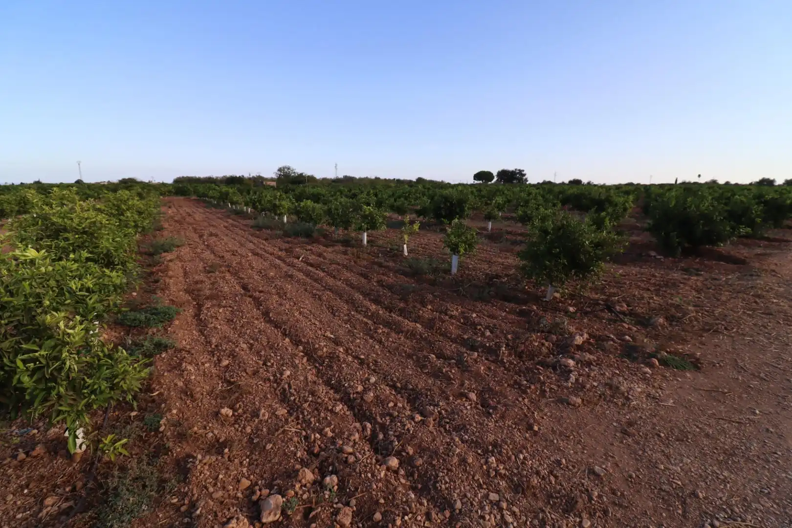 Terreny en venda en Vinaròs
