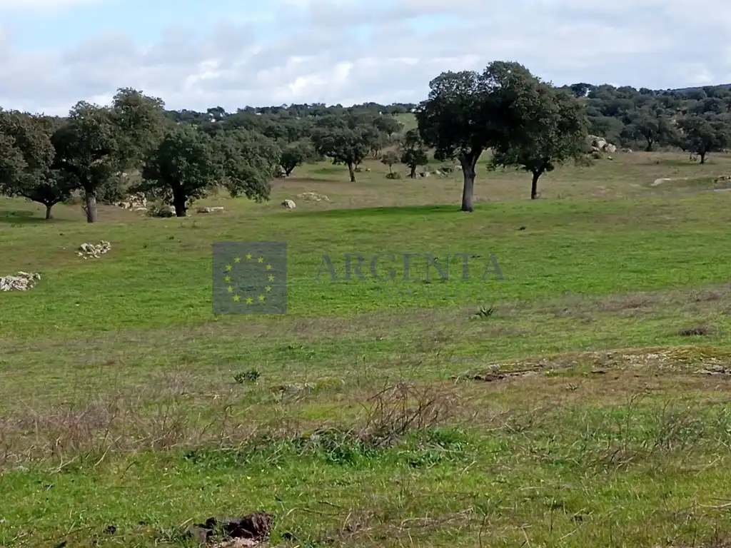 House for sale in Terrenos Calamonte, imagen 3