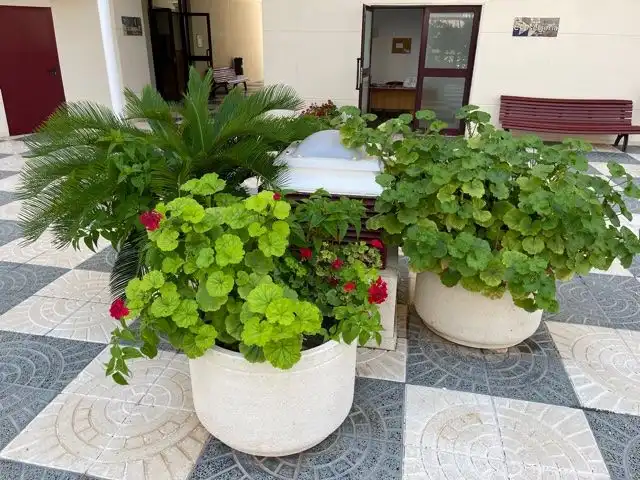 Appartement compact avec piscine à vendre à Avinguda Alacant 13, imagen 48