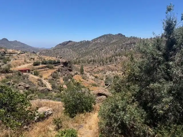 Houses for sale in San Bartolomé Interior