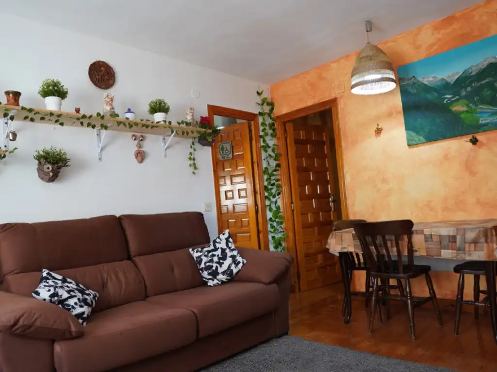 Sala d'estar de Apartament en venda en Bielsa