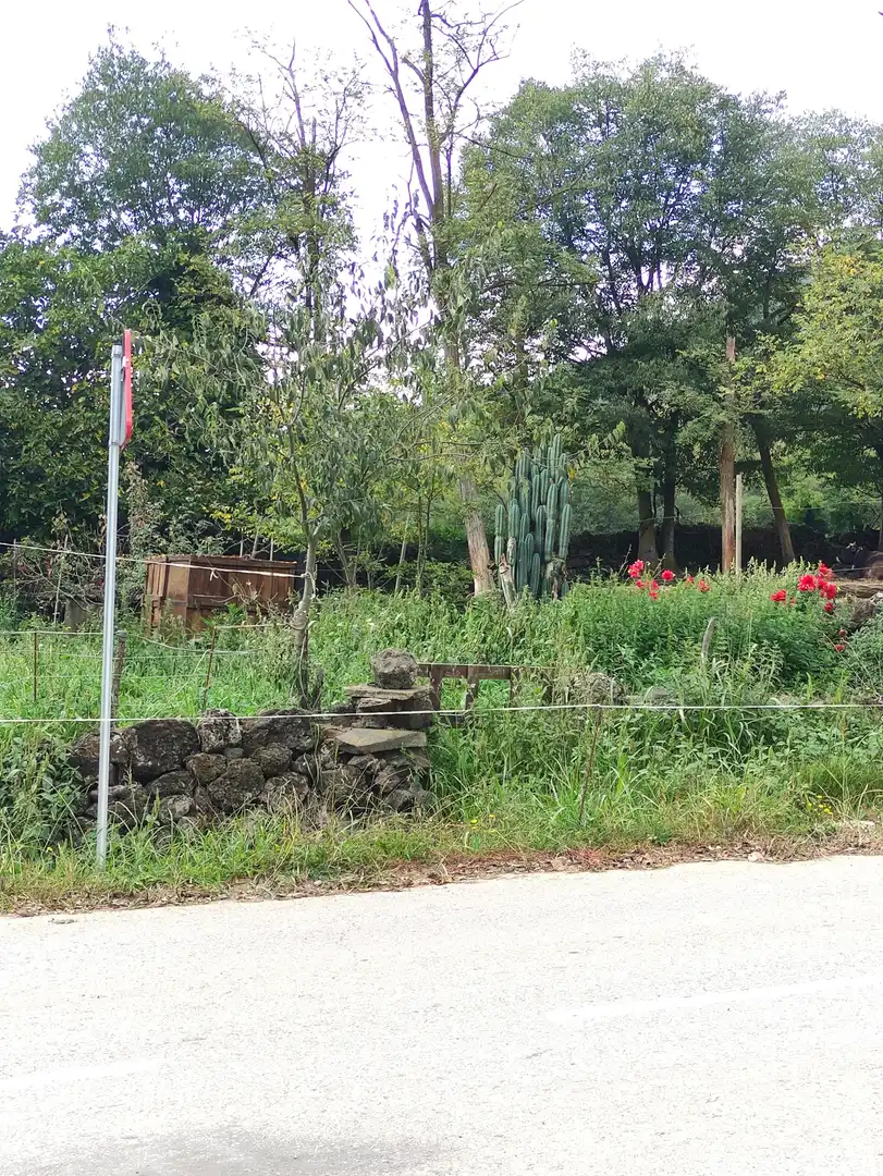 Casa o xalet en venda a Carrer de la Rompuda, Sant Joan Les Fonts
