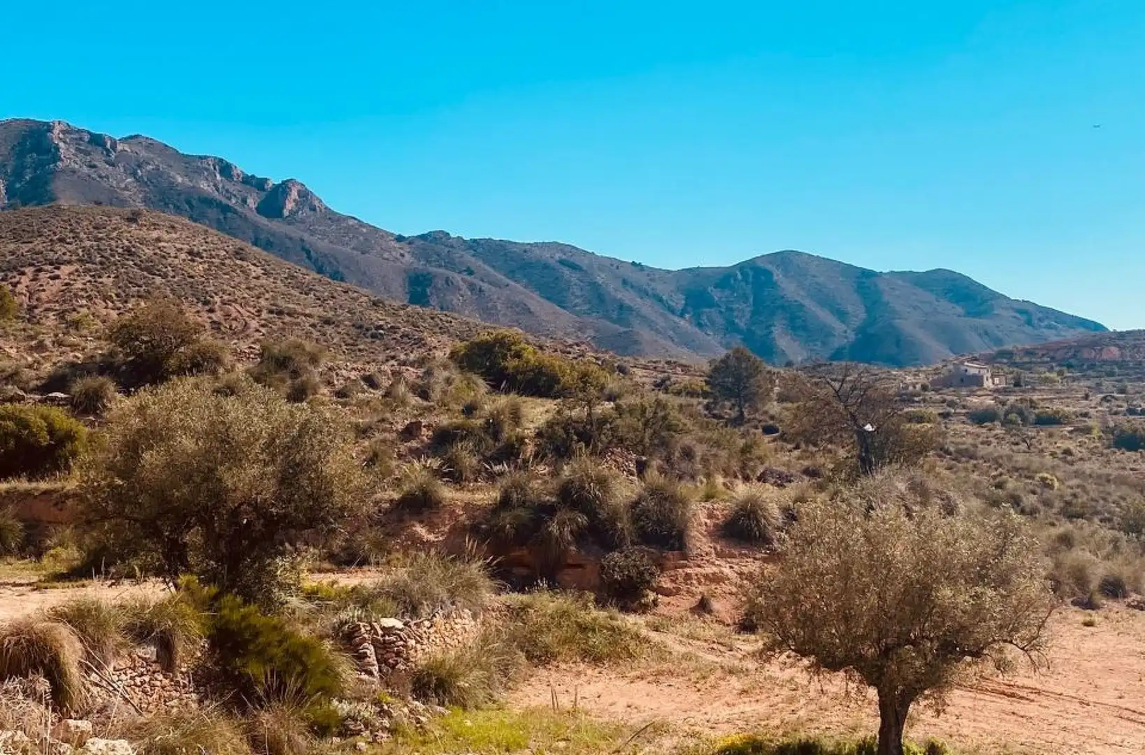 Chalet en venta en Hondón de las Nieves / El Fondó de les Neus, imagen 3