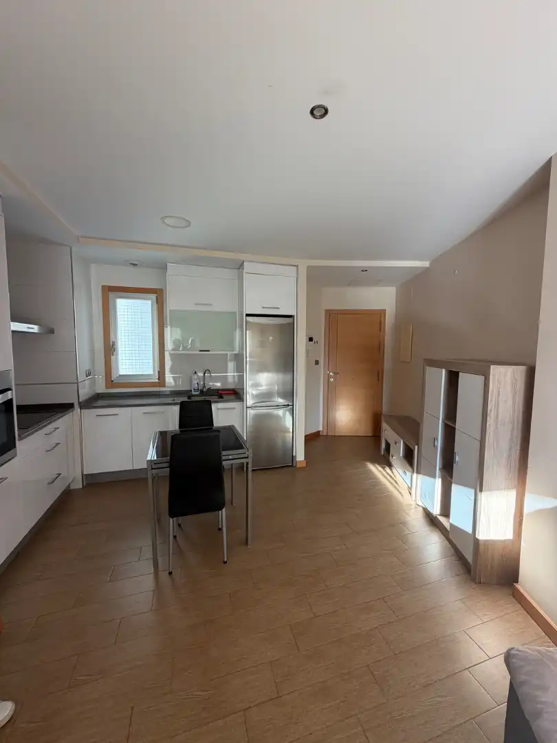 Kitchen of Apartments for rent in Centro