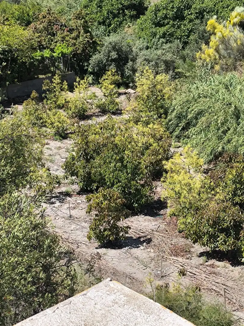 Finca rústica en venda en Motril amb Terrassa