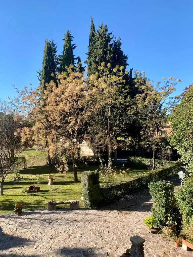Jardín de Casa o chalet en venta en Úbeda con Jardín privado, Piscina y Balcón