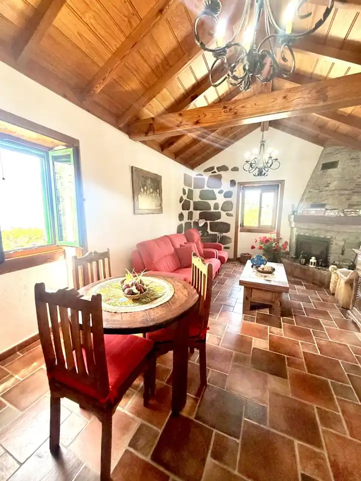 Sala d'estar de Finca rústica en venda en Adeje amb Jardí privat i Terrassa