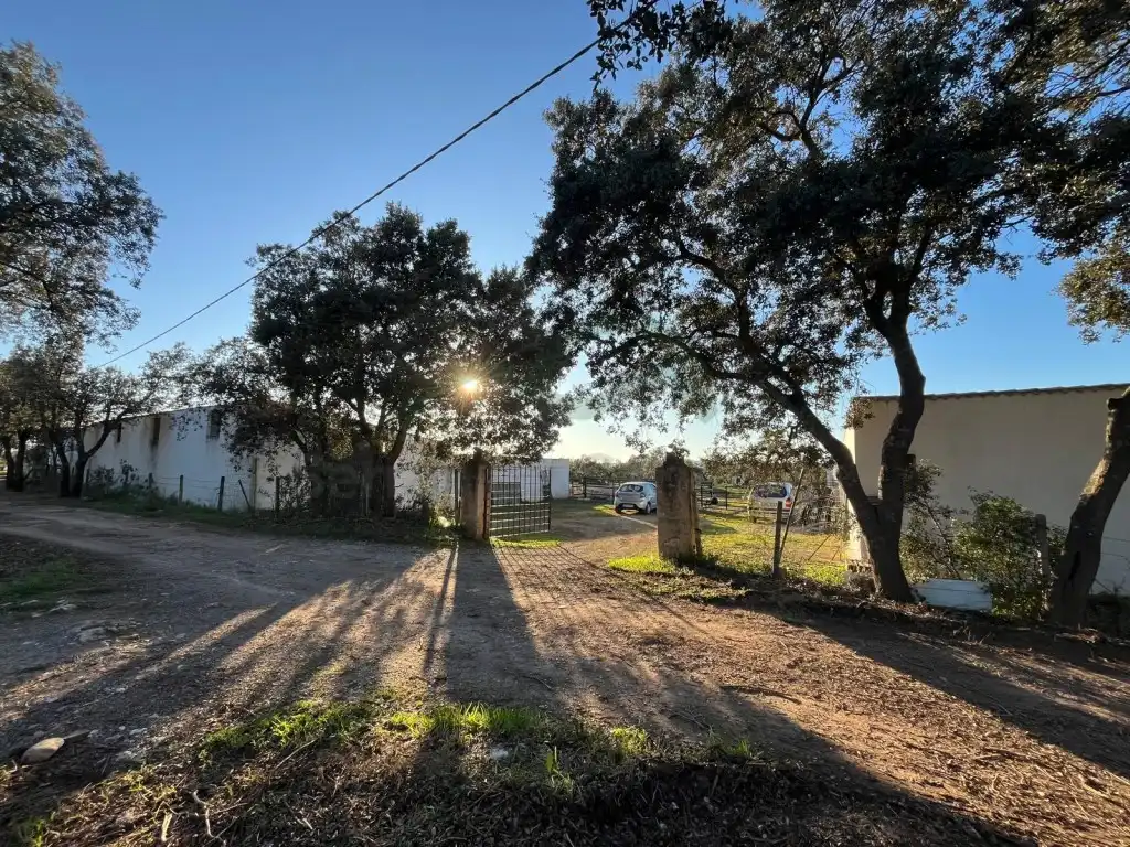 Casa en venta en Partidas Norte, imagen 37