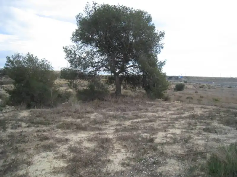 Terreno residencial en venta en Monforte del Cid, imagen 2