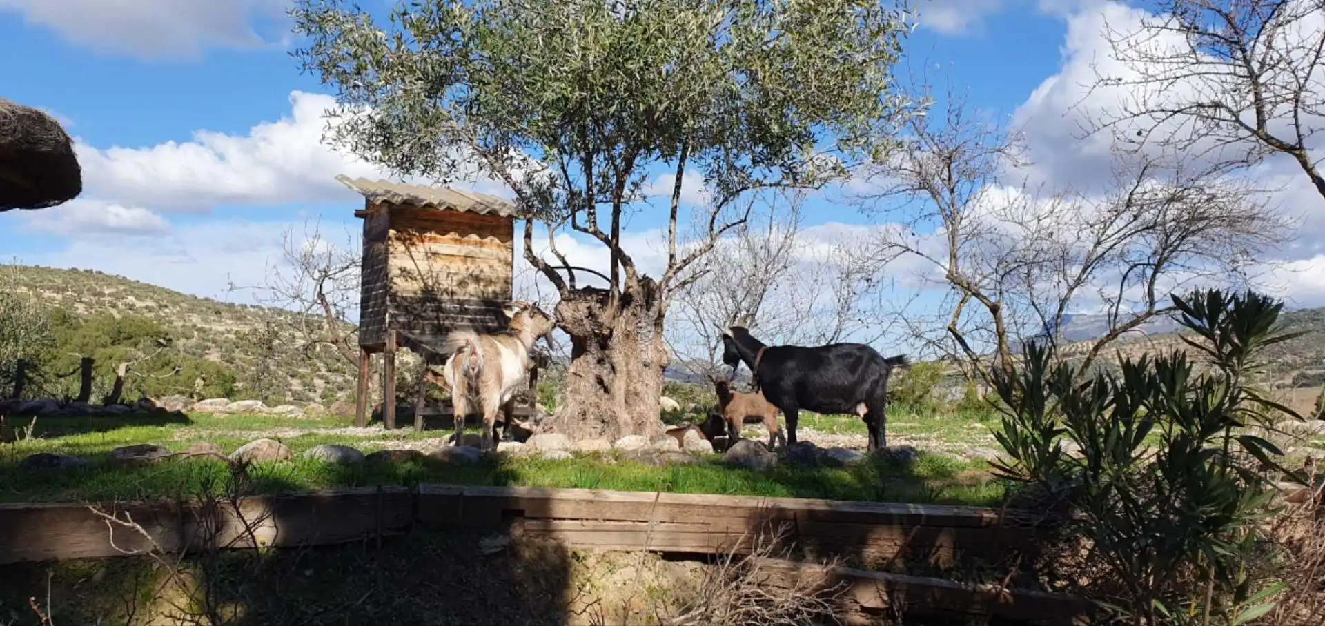 Finca rústica en venda en El Burgo amb Calefacció, Jardí privat i Traster