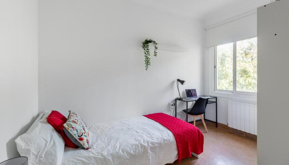 Photo 1 of Apartment to share in El Camp de l'Arpa del Clot, Barcelona