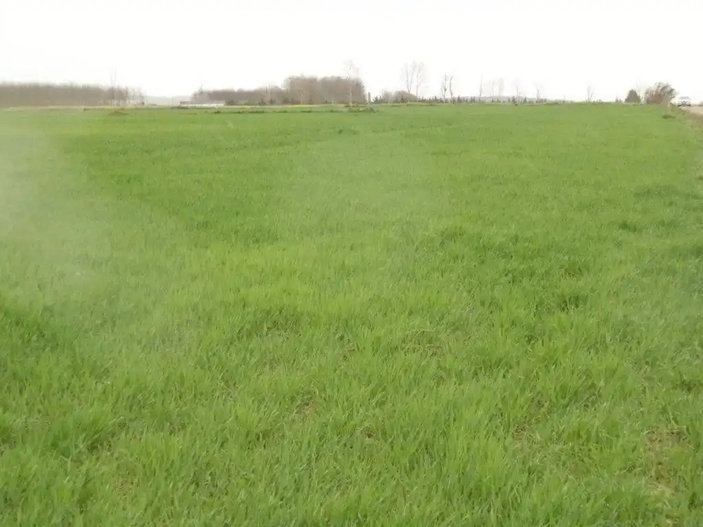 Terreno rustico in vendita a Centro - Plaza Mayor, imagen 2