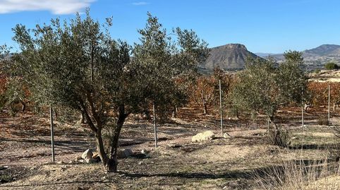 Terreno con proyecto de chalet de 275m2 y piscina de 32m2. Licencia de obras aceptada, imatge 4