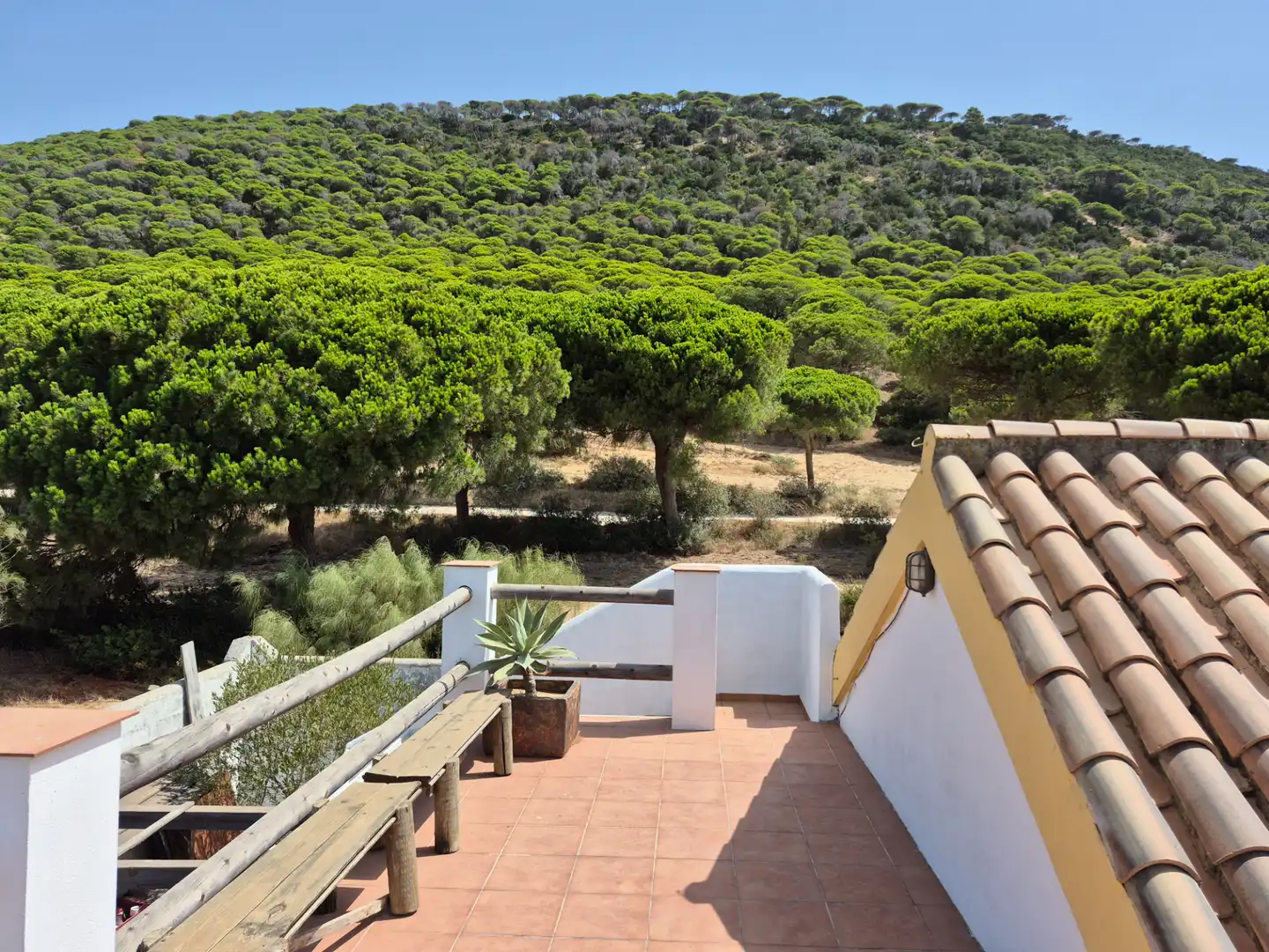 Xalet amb jardí en venda a Los Caños de Meca, imagen 40