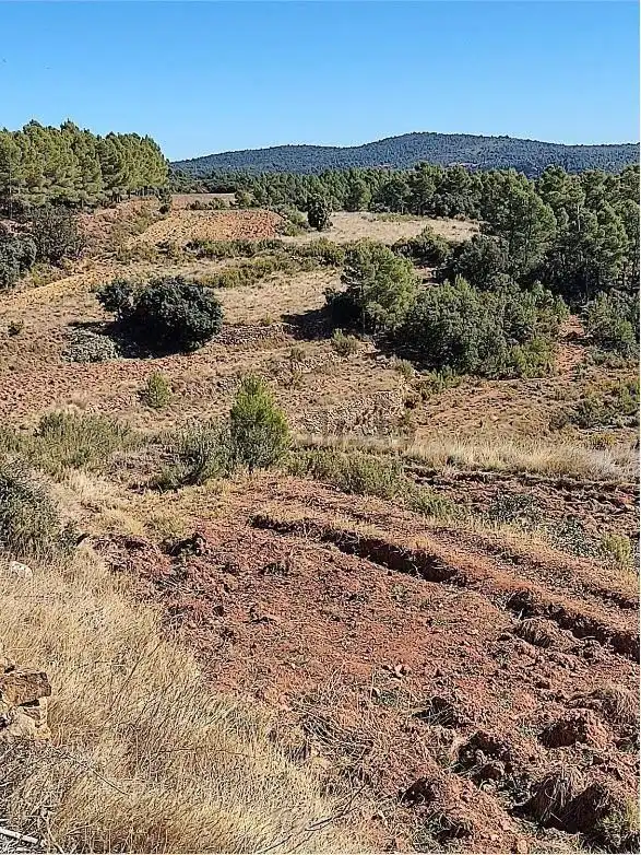 Finca rústica en venta en Zucaina