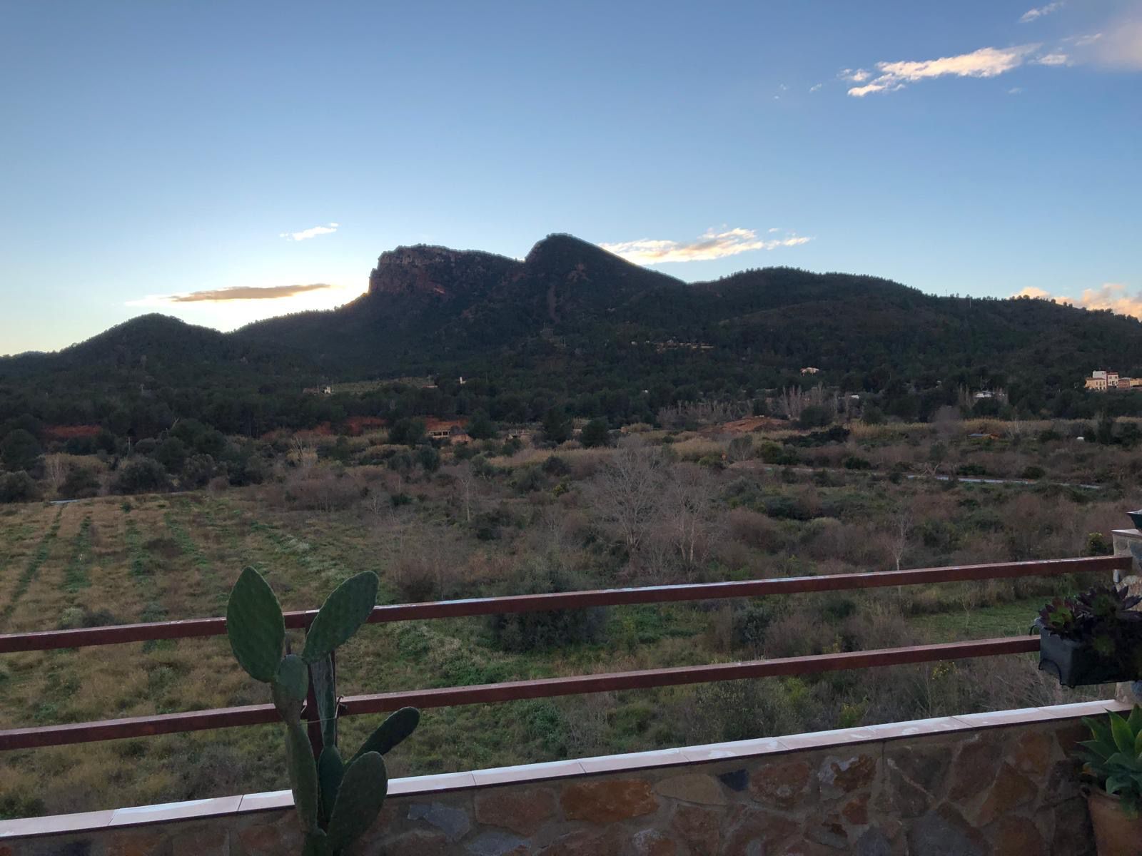 Jardí de Àtic en venda en Albalat dels Tarongers amb Aire condicionat, Calefacció i Terrassa