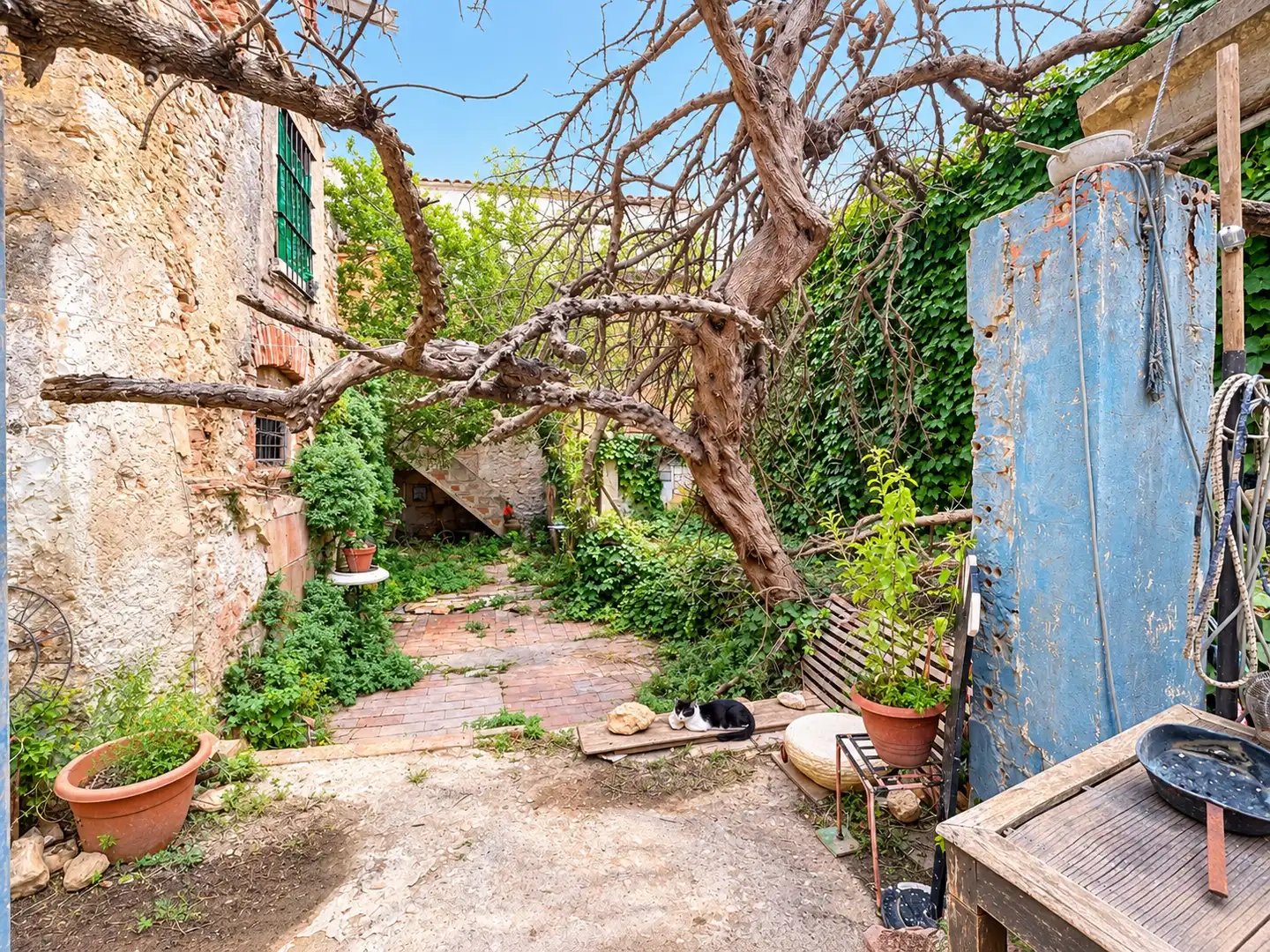 Jardí de Casa o xalet en venda en Alió amb Jardí privat