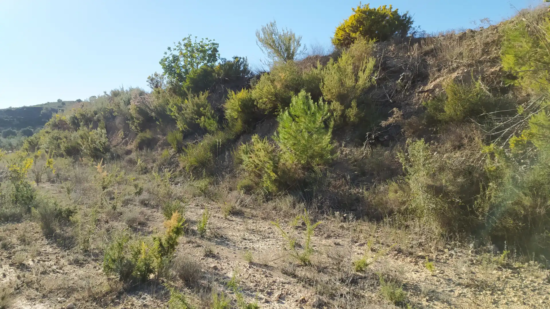 Finca rústica en venta en Bugarra