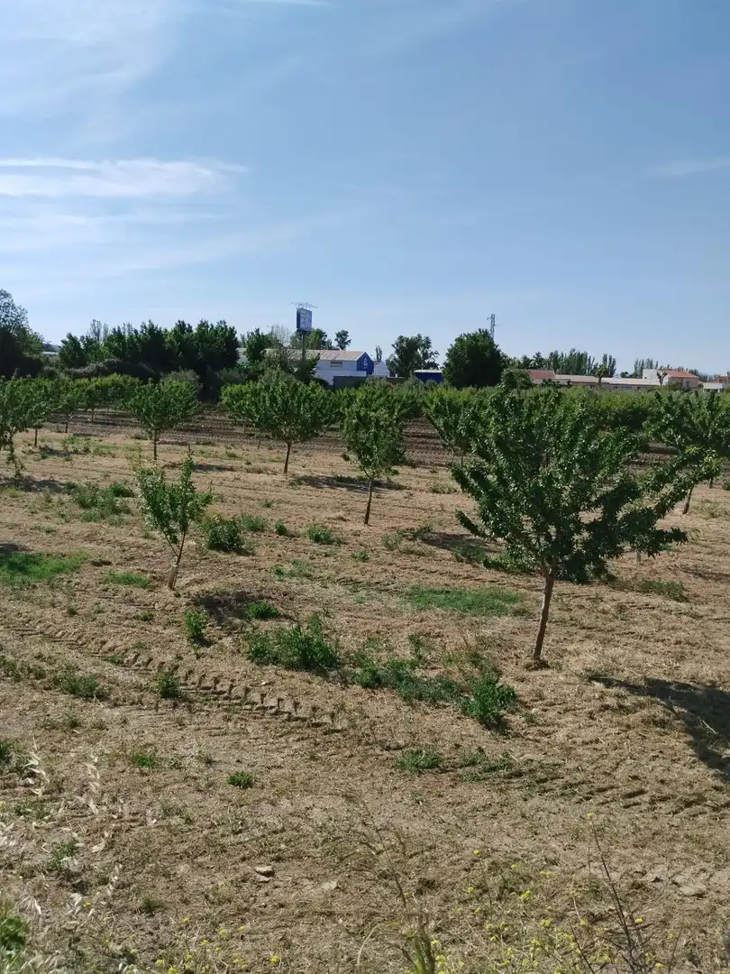 Terreni e lotti in vendita a Carretera Polígono 1 Parcela 83 PAGE BAJO. VILLA DE OTURA (, imagen 18