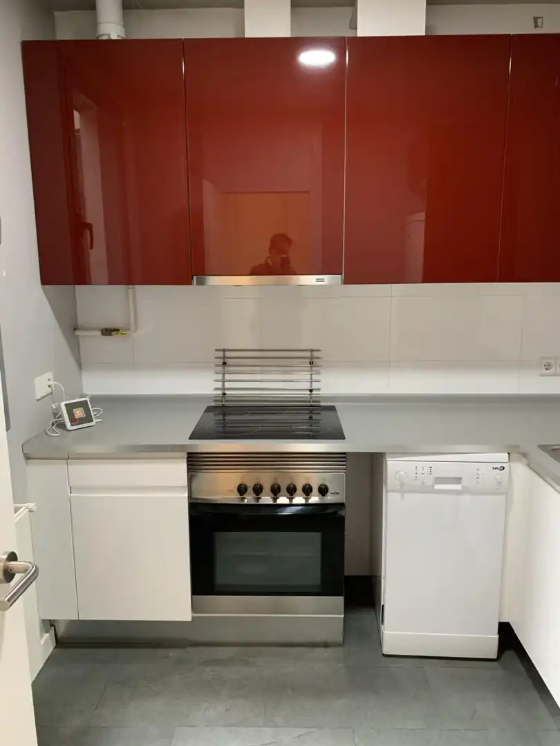 Cocina de Apartamento de alquiler en Centro