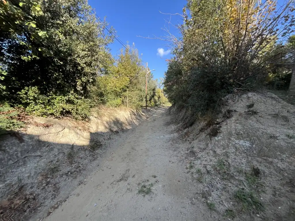 Wohnbaugrundstück zum Verkauf in Diseminados Pla Palou, imagen 24