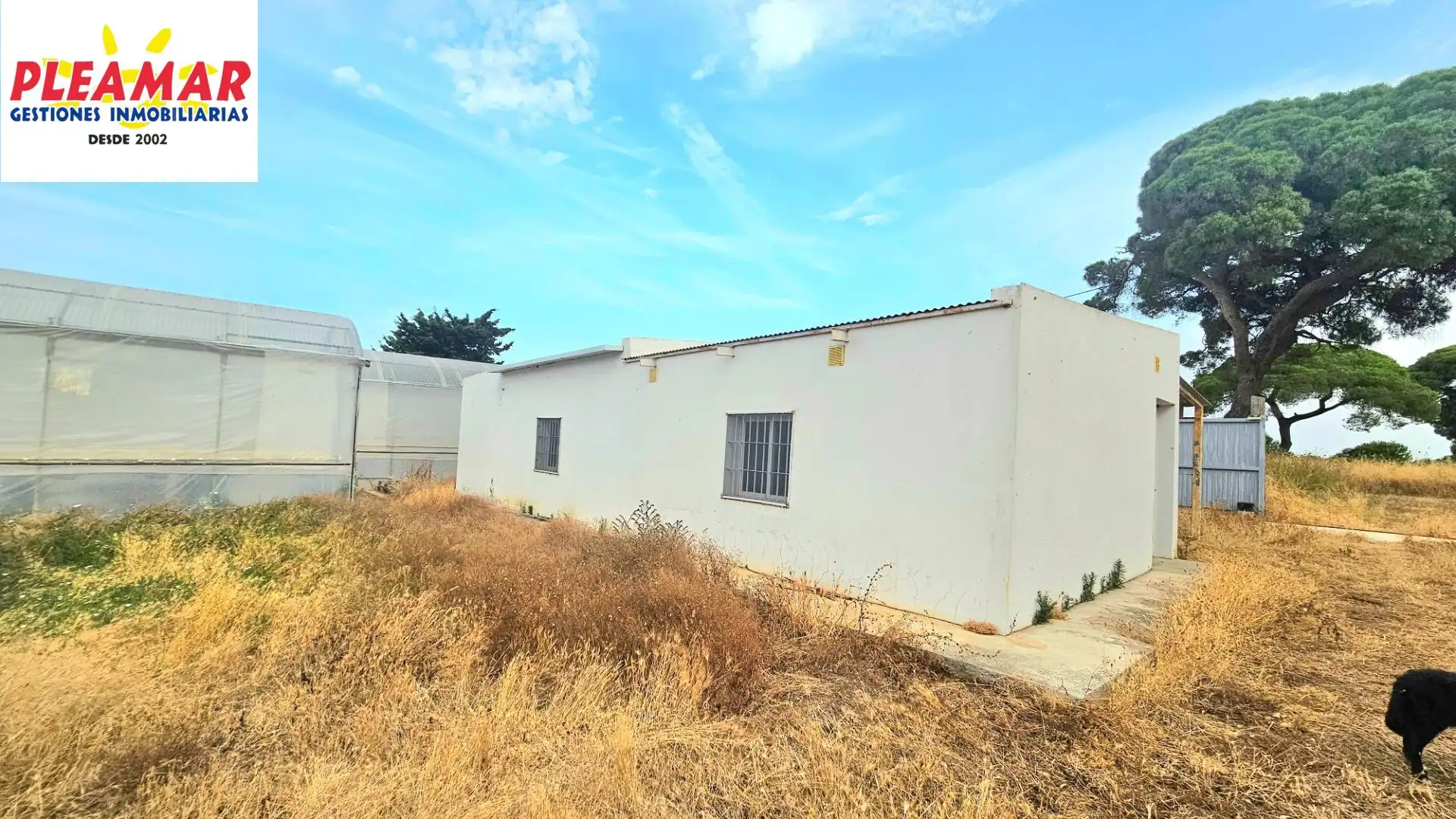 Casa rústica en venda a Las Tres Piedras - Costa Ballena, imagen 3