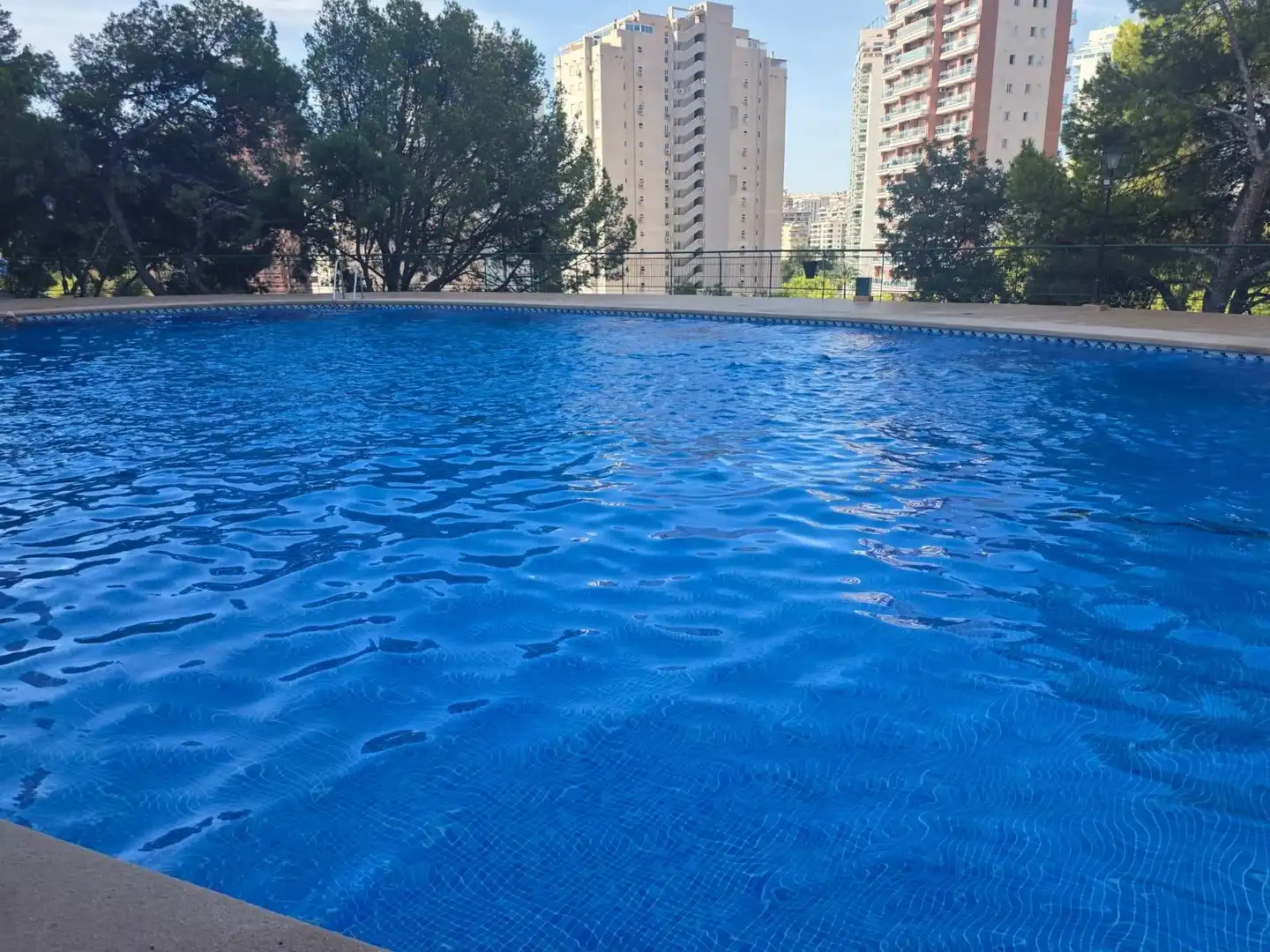 Swimming pool of Flat for sale in Benidorm  with Community pool