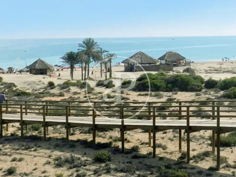 Vista exterior de Pis en venda en Elche / Elx amb Aire condicionat, Calefacció i Jardí privat