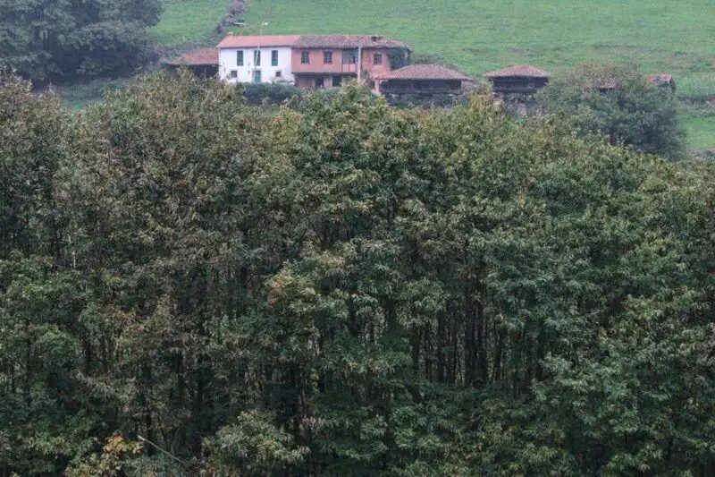 Appartamento con ascensore in vendita a EL BOLADO, imagen 10