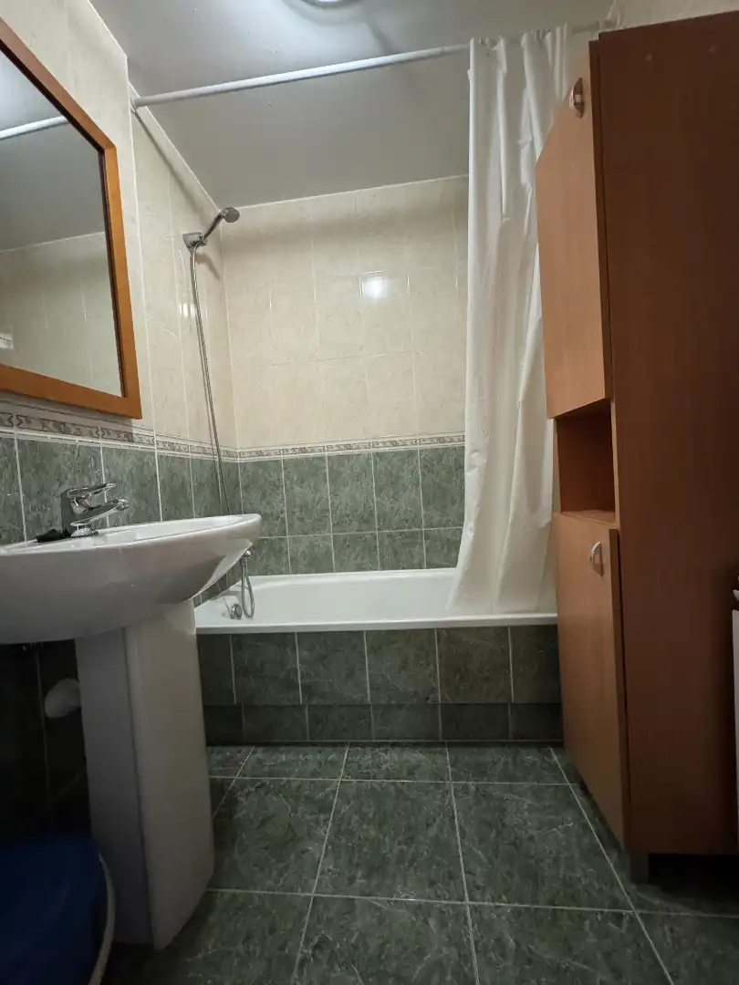 Bathroom of Flat for rent in Ames  with Heating, Storage room and Furnished