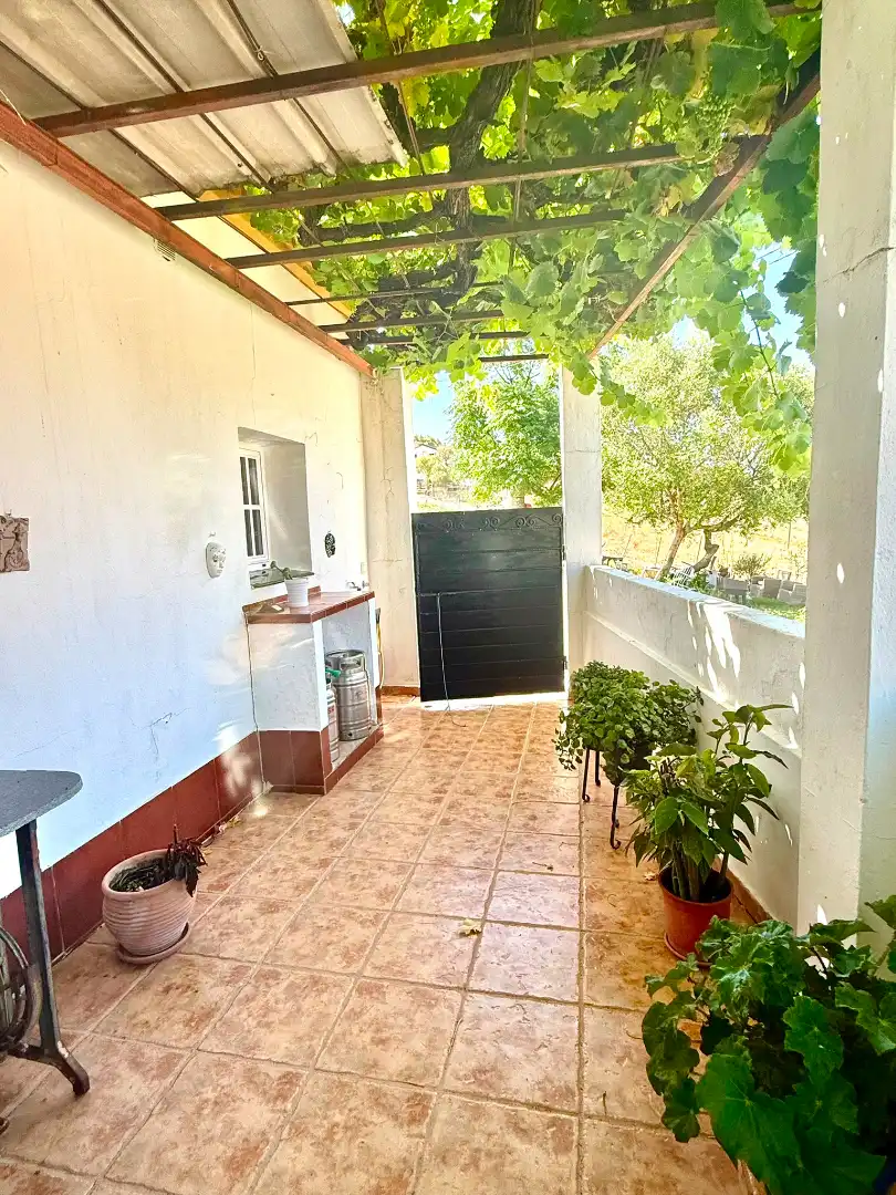 Terrassa de Casa o xalet de lloguer en Tarifa amb Jardí privat, Terrassa i Traster
