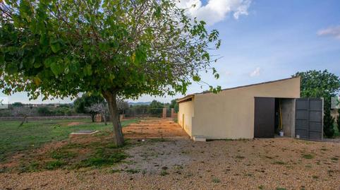 Foto 5 de Finca rústica en venta en Porto Cristo, Manacor