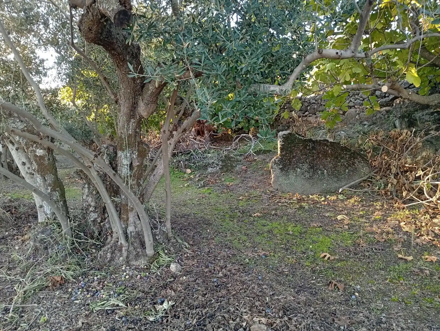 Terreni e lotti in vendita a Villanueva de la Vera, imagen 70