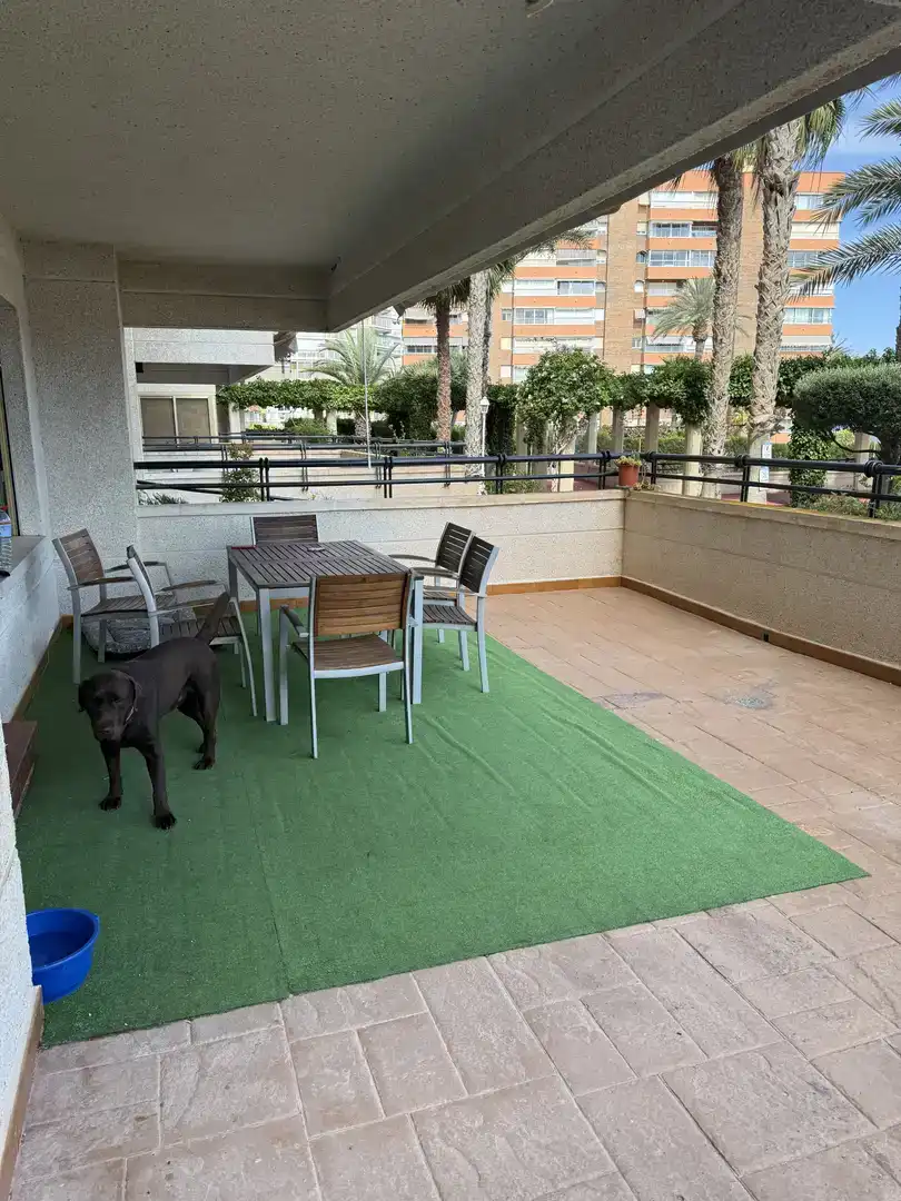 Terrasse von Wohnung zur Miete in Campello Playa
