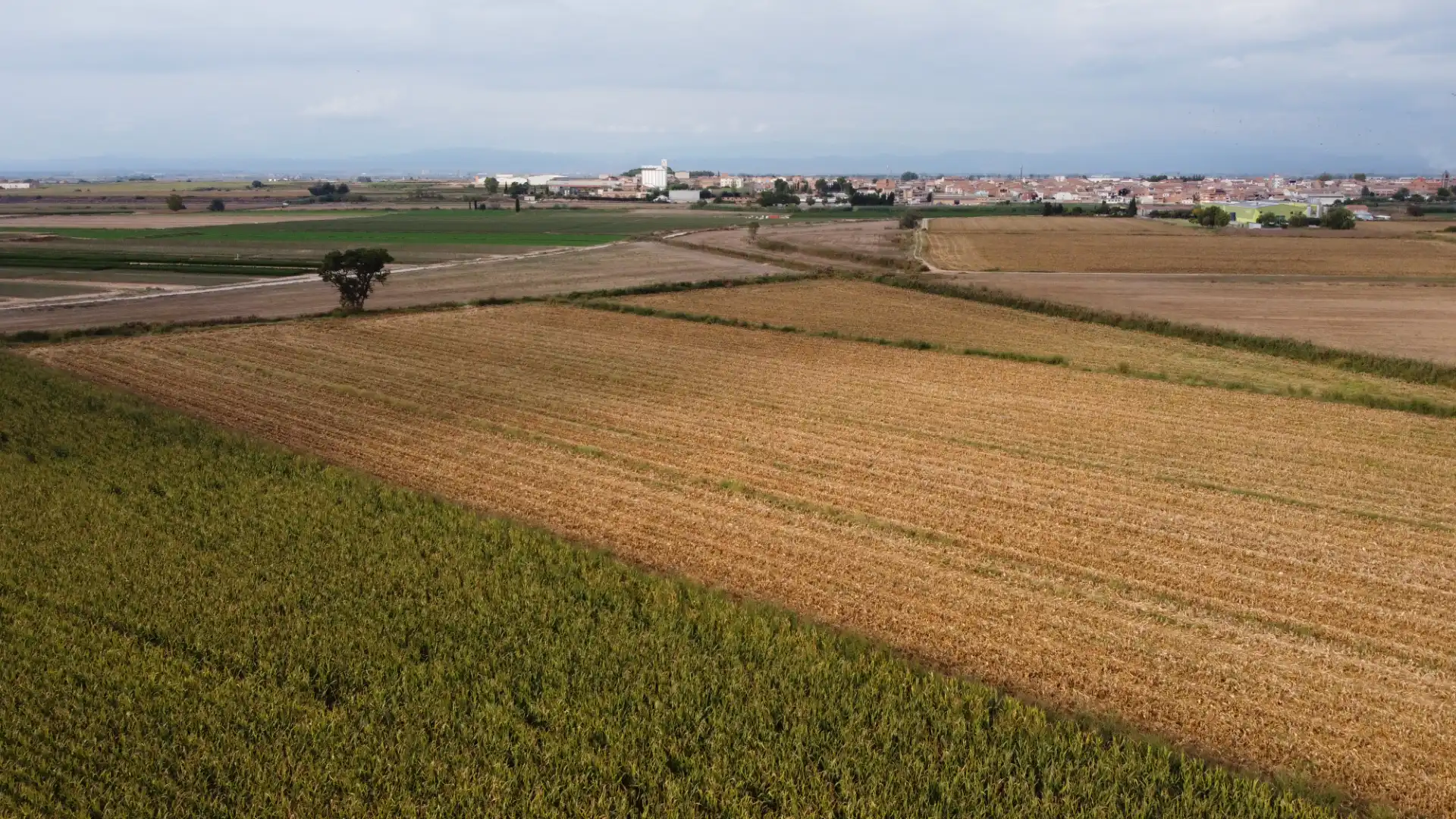 Terreny rústic en venda a Bell-lloc d'Urgell, imagen 6