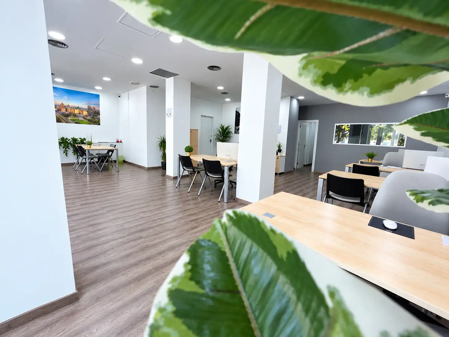 Commercial properties for rent in Verdum