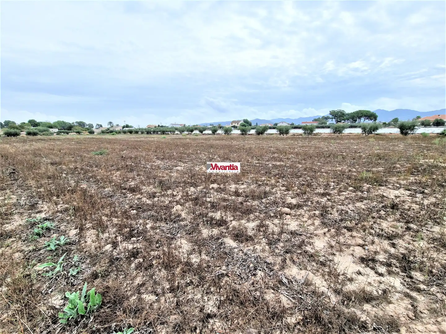Residential for sale in Lorca