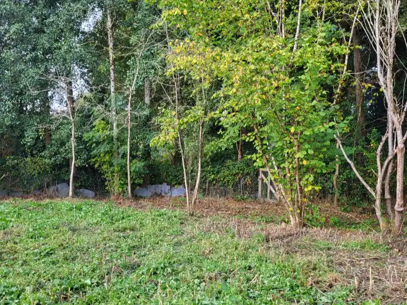 Terreno en venta en Vilalba