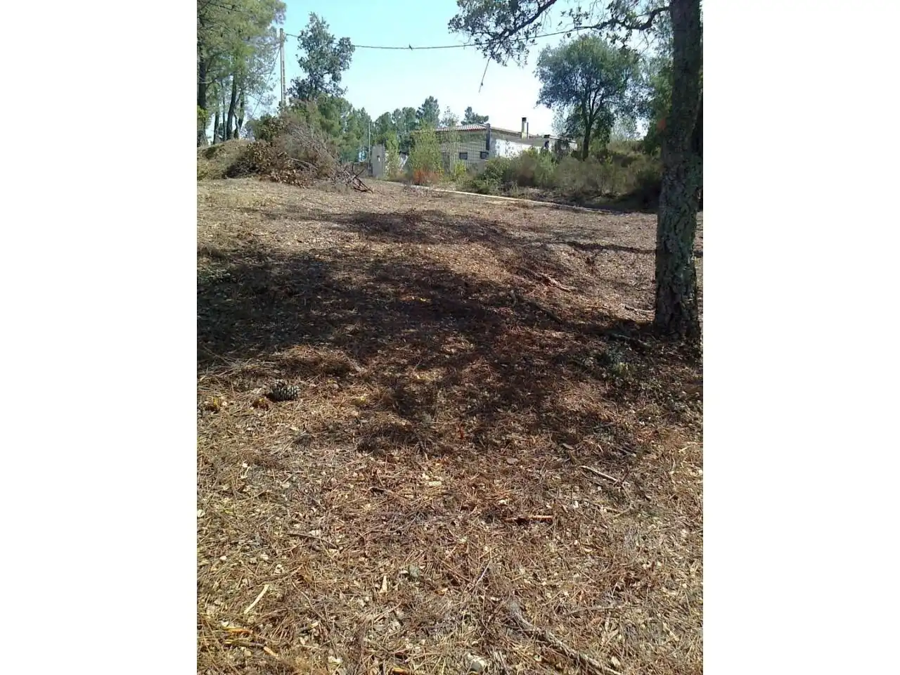 Terrain rustique à vendre à Urbanizacion MALAVELLA PARK, imagen 7
