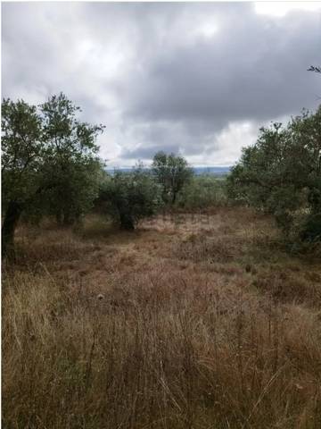 Terreno en Venta en Villafranca de Córdoba