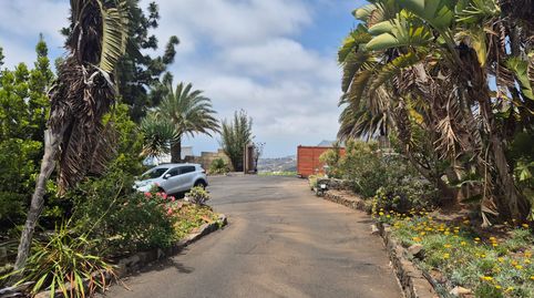 Foto 3 de Casa o chalet en venta en Camino de Jama, 17, Vilaflor de Chasna, Santa Cruz de Tenerife