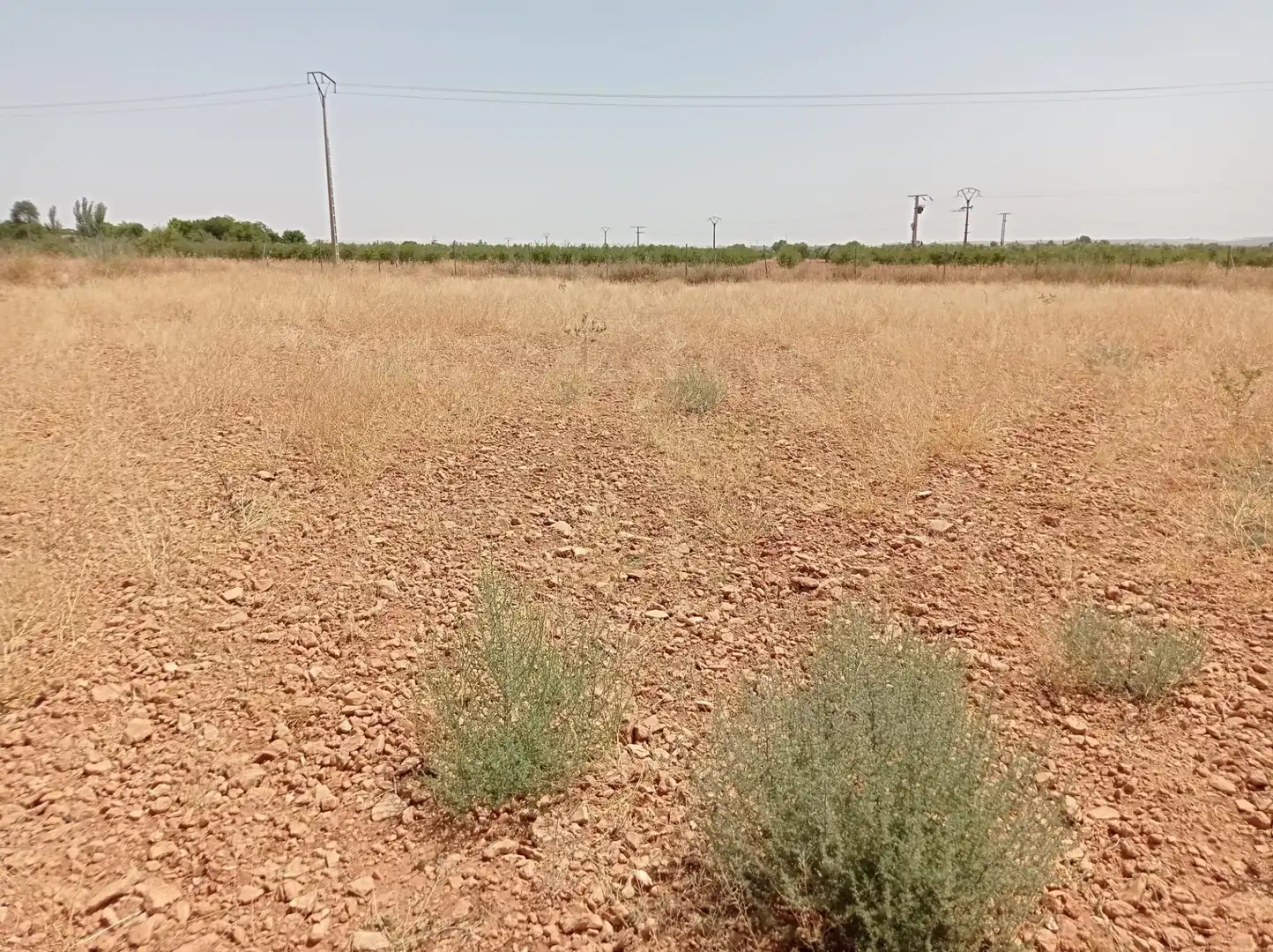Terreno rustico in vendita a Pozuelo de Calatrava, imagen 2