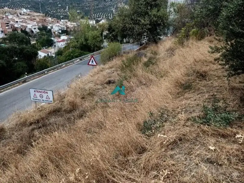 Terreni e lotti in vendita a Los Villares, imagen 17